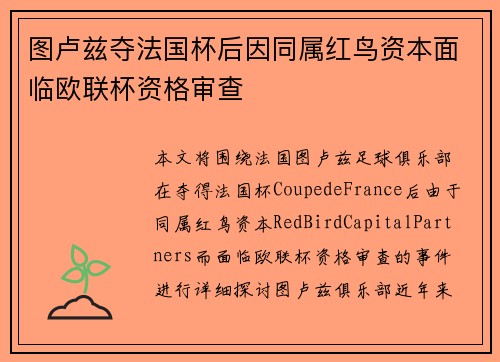 图卢兹夺法国杯后因同属红鸟资本面临欧联杯资格审查